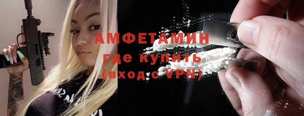 шишки Верхний Тагил