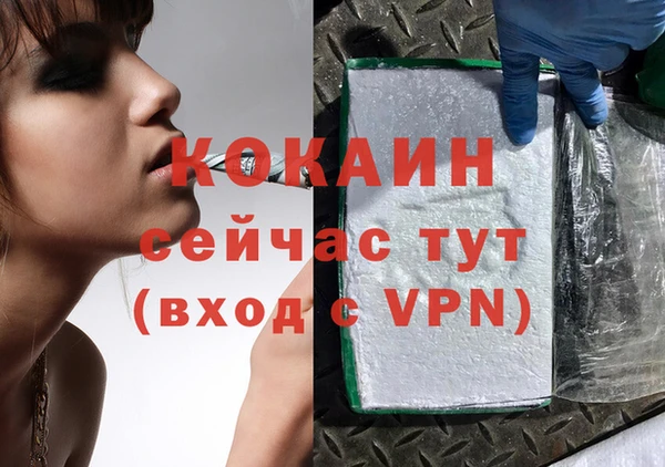 шишки Верхний Тагил
