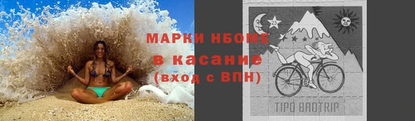 шишки Верхний Тагил