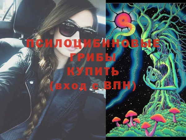 шишки Верхний Тагил