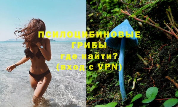шишки Верхний Тагил