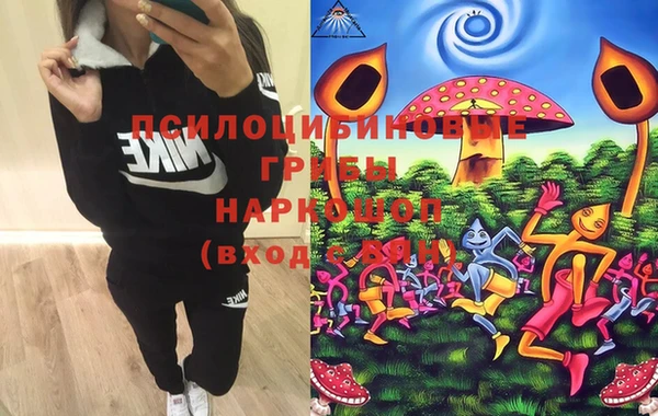 шишки Верхний Тагил