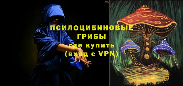 шишки Верхний Тагил