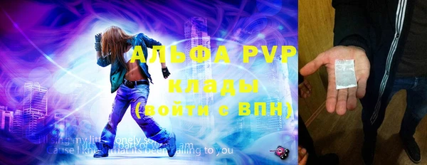 шишки Верхний Тагил